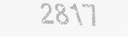 Visual security code — type the characters shown in the image