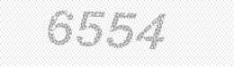 Visual security code — type the characters shown in the image